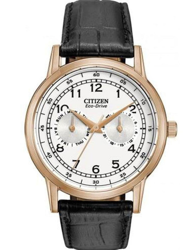 Citizen Watch Eco Drive Day & Date White Dial Black Leather Strap Watch For Men - AO9003-16A Authentic Buy Shop Now