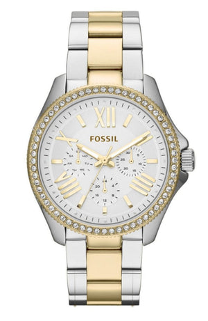 Fossil Cecile White Dial Two Tone Steel Strap Watch for Women - AM4543 Authentic Buy Shop Now