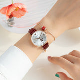 Emporio Armani Meccanico Automatic Silver Dial Burgundy Leather Strap Watch For Women - AR60044 Authentic Buy Shop Now