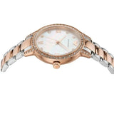 Emporio Armani Cleo Mother of Pearl Dial Two Tone Steel Strap Watch For Women - AR11499 Authentic Buy Shop Now