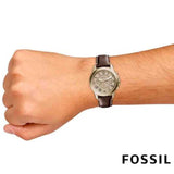 Fossil Grant Chronograph Brown Dial Brown Leather Strap Watch for Men - FS5214 Authentic Buy Shop Now