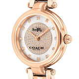 Coach Park Silver Dial Rose Gold Steel Strap Watch for Women - 14503736 Authentic Buy Shop Now