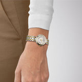 Tissot Bellissima Small Lady White Dial Two Tone Steel Strap Watch For Women - T126.010.22.013.01 Authentic Buy Shop Now
