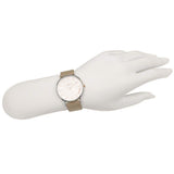 Coach Perry Silver Dial Light Brown Leather Strap Watch for Women - 14503119 Authentic Buy Shop Now
