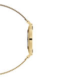 Daniel Wellington Classic Petite Evergold White Dial Gold Mesh Bracelet Watch For Women - DW00100350 Authentic Buy Shop Now