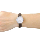 Daniel Wellington Classic Petite White Dial Brown Leather Strap Watch For Women - DW00100239 Authentic Buy Shop Now