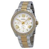 Fossil Cecile White Dial Two Tone Steel Strap Watch for Women - AM4543 Authentic Buy Shop Now