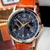 Citizen Eco Drive Multi Function Day & Date Black Dial Brown Leather Strap Watch For Men - AO9003-08E Authentic Buy Shop Now