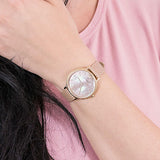 Emporio Armani Kappa Quartz Mother of Pearl Taupe Dial Brown Leather Strap Watch For Men - AR11151 Authentic Buy Shop Now