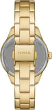 Fossil Rye Automatic Skeleton Gold Dial Gold Steel Strap Watch for Women - BQ3755 Authentic Buy Shop Now