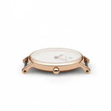 Daniel Wellington Classy Oxford White Dial Two Tone Nylon Strap Watch For Women - DW00100064 Authentic Buy Shop Now
