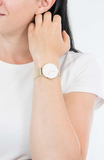 Daniel Wellington Classic Petite Evergold White Dial Gold Mesh Bracelet Watch For Women - DW00100346 Authentic Buy Shop Now