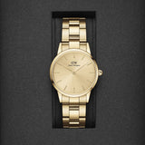 Daniel Wellington Iconic Link Unitone Gold Dial Gold Steel Strap Watch For Women - DW00100403 Authentic Buy Shop Now