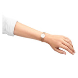Daniel Wellington Petite Pressed Melrose White Dial Gold Mesh Bracelet Watch For Women - DW00100447 Authentic Buy Shop Now