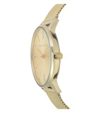 Armani Exchange Lola Analog Gold Dial Gold Mesh Strap Watch For Women - AX5536 Authentic Buy Shop Now