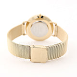 Daniel Wellington Petite Evergold Black Dial Gold Mesh Strap Watch For Women - DW00100345 Authentic Buy Shop Now