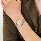 Emporio Armani Kappa Quartz Mother of Pearl Taupe Dial Brown Leather Strap Watch For Men - AR11151 Authentic Buy Shop Now