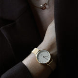 Daniel Wellington Classic Petite Evergold White Dial Gold Mesh Bracelet Watch For Women - DW00100346 Authentic Buy Shop Now