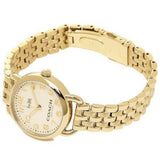 Coach Delancey White Dial Gold Steel Strap Watch for Women - 14502241 Authentic Buy Shop Now