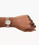 Emporio Armani Dress Quartz Rose Gold Dial Rose Gold Steel Strap Watch For Women - AR11062 Authentic Buy Shop Now