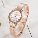 Coach Delancey Silver Dial Rose Gold Steel Strap Watch for Women - 14502355 Authentic Buy Shop Now