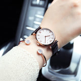 Emporio Armani Classic Quartz Pink Dial Brown Leather Strap Watch For Women - AR1911 Authentic Buy Shop Now