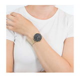 Daniel Wellington Petite Evergold Black Dial Gold Mesh Strap Watch For Women - DW00100345 Authentic Buy Shop Now