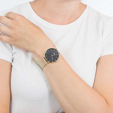 Daniel Wellington Petite Evergold Black Dial Gold Mesh Strap Watch For Women - DW00100345 Authentic Buy Shop Now