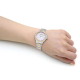 Emporio Armani Mia Quartz Mother of Pearl Dial Two Tone Steel Strap Watch For Women - AR11524 Authentic Buy Shop Now