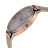 Emporio Armani Kappa Pink Dial Pink Mesh Bracelet Watch For Women - AR11129 Authentic Buy Shop Now