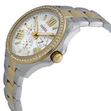 Fossil Cecile White Dial Two Tone Steel Strap Watch for Women - AM4543 Authentic Buy Shop Now