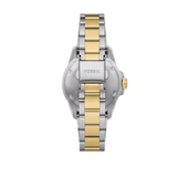 Fossil Blue Dive Three Hand Black Dial Two Tone Steel Strap Watch For Women - ES5349 Authentic Buy Shop Now