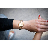 Calvin Klein Class White Dial Rose Gold Steel Strap Watch for Women - K6R23626 Authentic Buy Shop Now