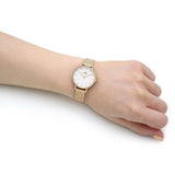 Daniel Wellington Classic Petite Evergold White Dial Gold Mesh Bracelet Watch For Women - DW00100350 Authentic Buy Shop Now
