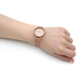 Daniel Wellington Petite Rose Gold Dial Rose Gold Mesh Bracelet Watch For Women - DW00100471 Authentic Buy Shop Now
