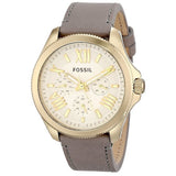 Fossil Cecile Champagne Dial Grey Leather Strap Watch for Women - AM4529 Authentic Buy Shop Now