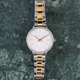 Michael Kors Pyper Quartz Silver Dial Two Tone Steel Strap Watch For Women - MK1041 Authentic Buy Shop Now