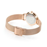 Daniel Wellington Petite Amber Brown Dial Gold Mesh Strap Watch For Women - DW00100476 Authentic Buy Shop Now